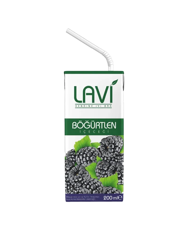 Lavi Blackberry Fruit Drink 200ml